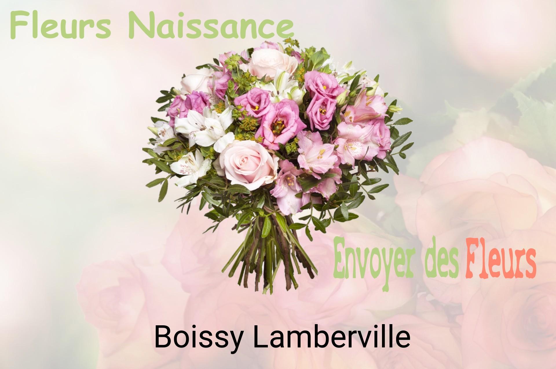 Bouquet de fleurs de naissance livré à Boissy-Lamberville